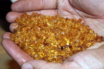 medium amber 1137 3