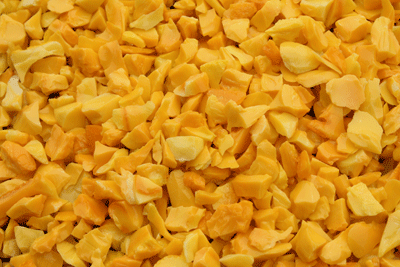 corn yellow r77f4 1